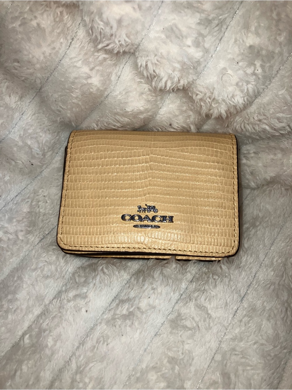 Coach Lizard-embossed Leather Mini Wallet on Chain